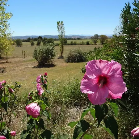 Maison Majorelle Hébergement de vacances