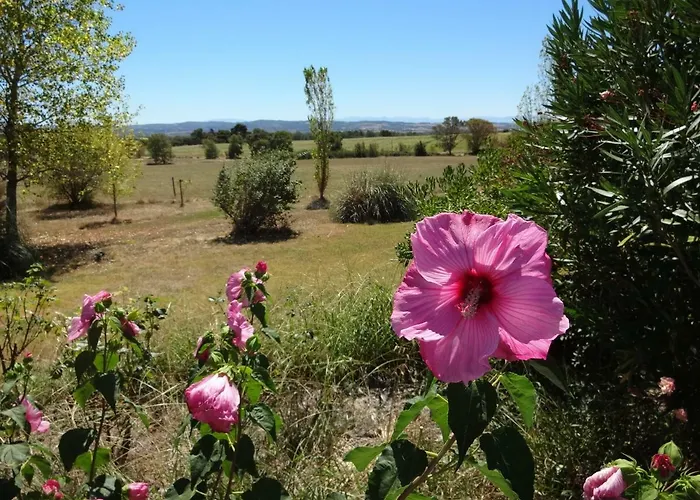 Maison Majorelle Casa vacanze